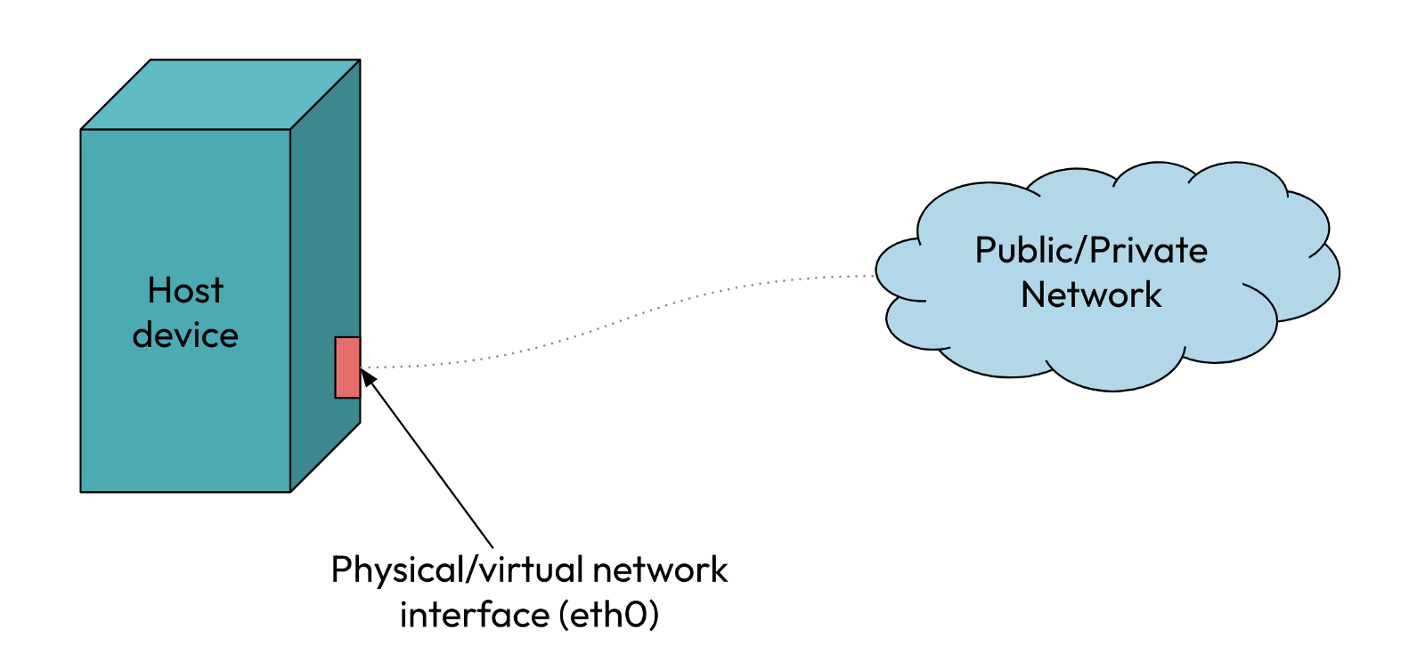 Host with a network interface to connect to public/private network
