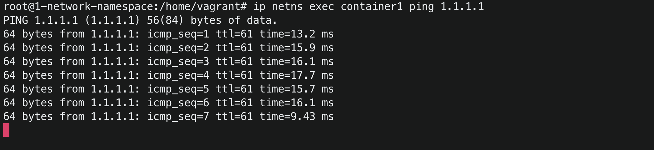 Ping internet from container1 success